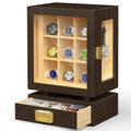 Walnut Watch Display Box