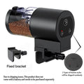 Automatic Fish Feeder
